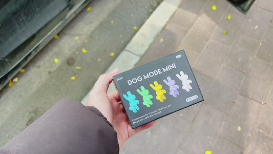 5PCS for Tesla Model Y 2026 Dog Mode Mini Screen Decoration Ornament Funny Decors Colorful for 2017-2026 Tesla Model 3 and New Model Y Juniper Interior Accessories(Five Color with Gift Box)